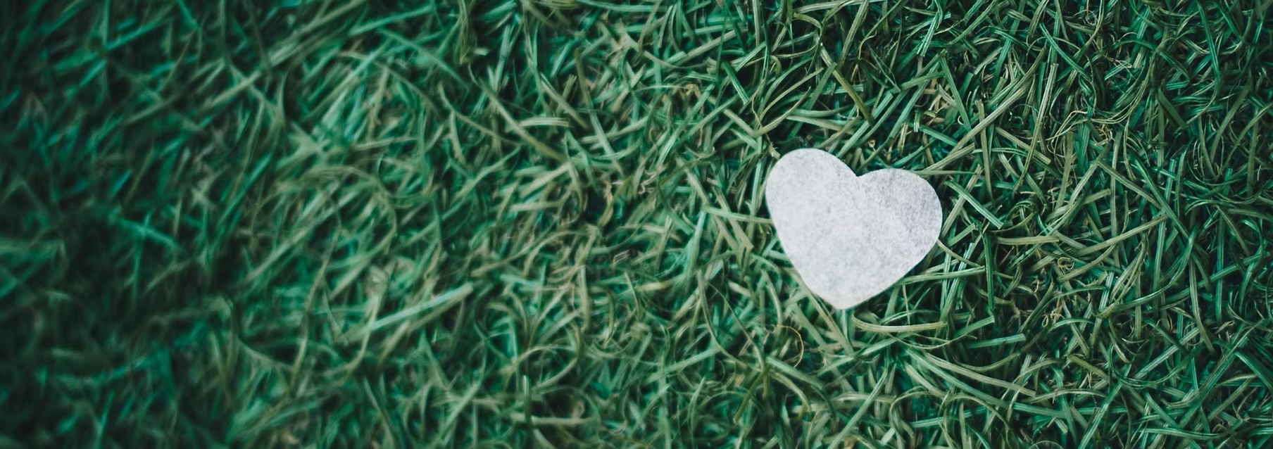 white heart lying in the grass